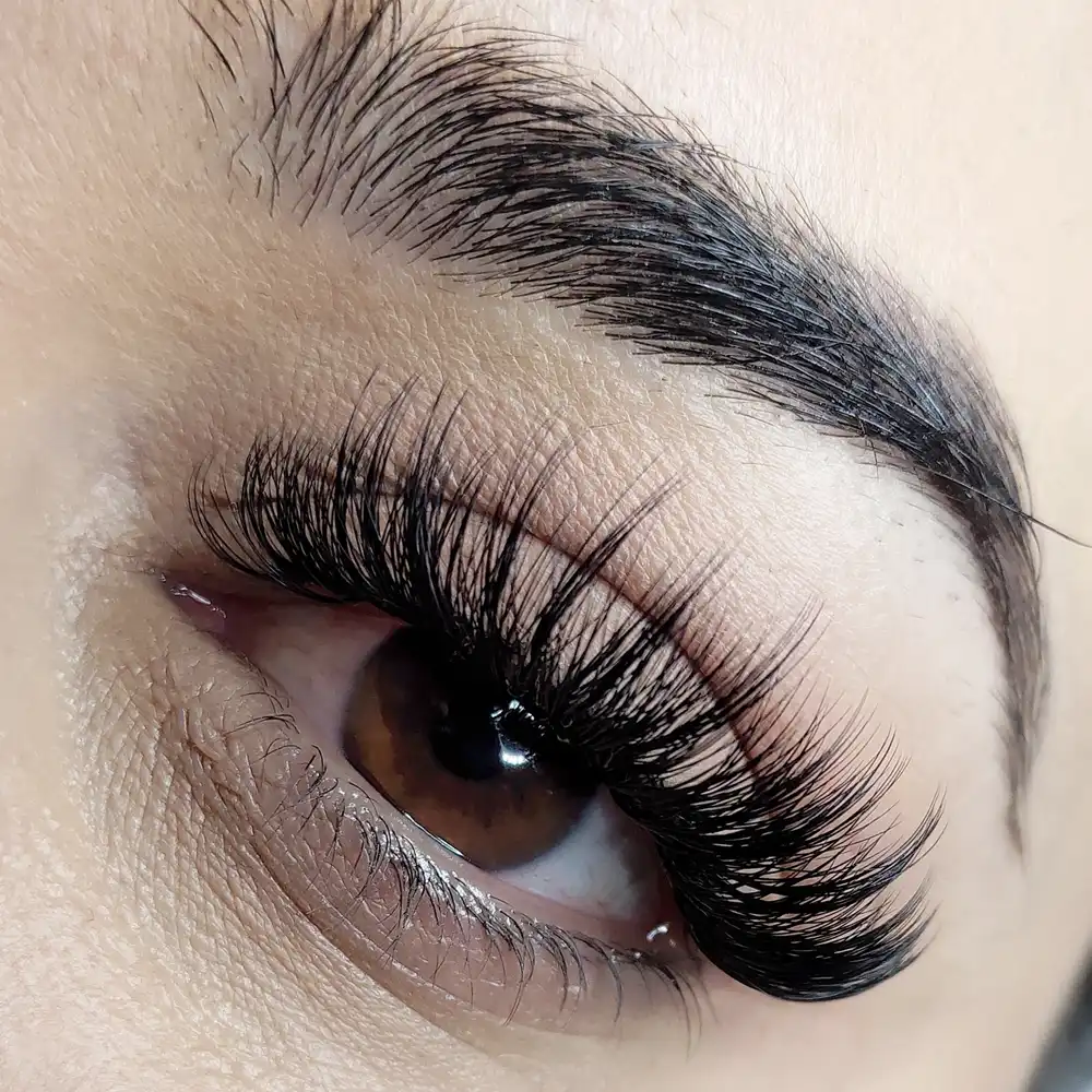 Close-up of a brown eye with wispy style eyelash extensions, featuring a feathery and textured look.